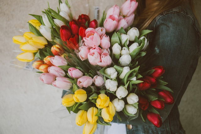 Woman with multiple tulip bouquets