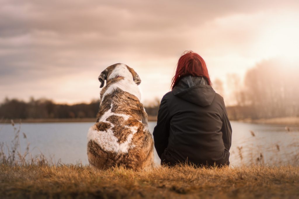 woman with her dog in the lake