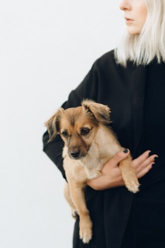 woman in black long sleeve shirt holding brown short coated dog