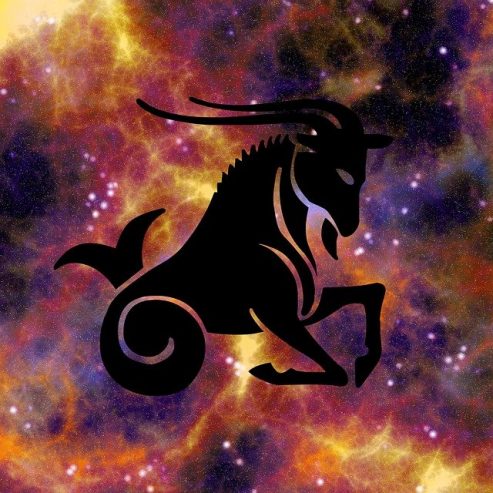 Capricorn zodiac