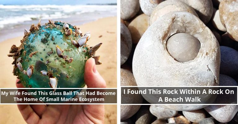 25 People Who Found Amazing Treasures At The Most Unexpecting Places.