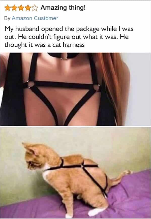 product reviews