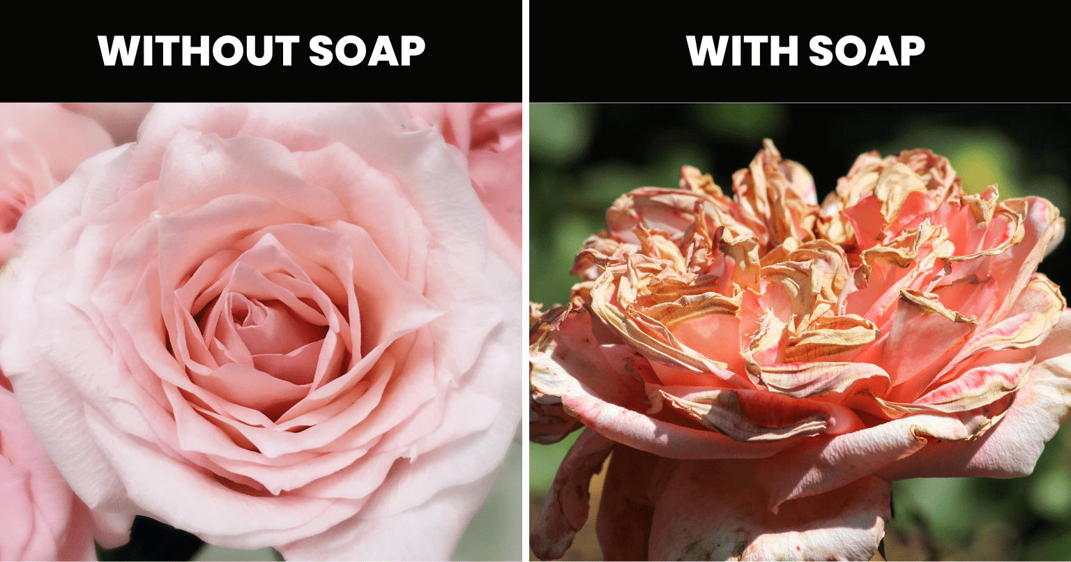 stop using soap