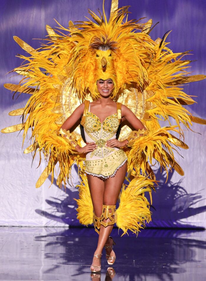 state-representing costumes