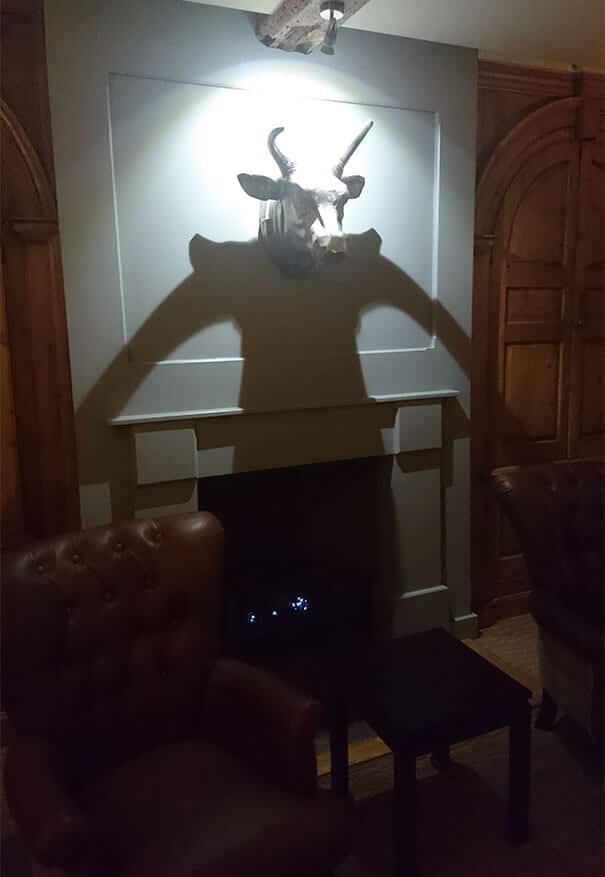 shadows