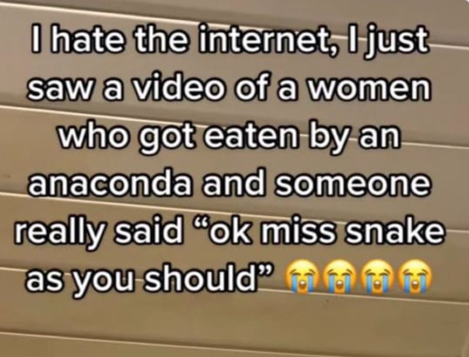 The Weirdest TikTok