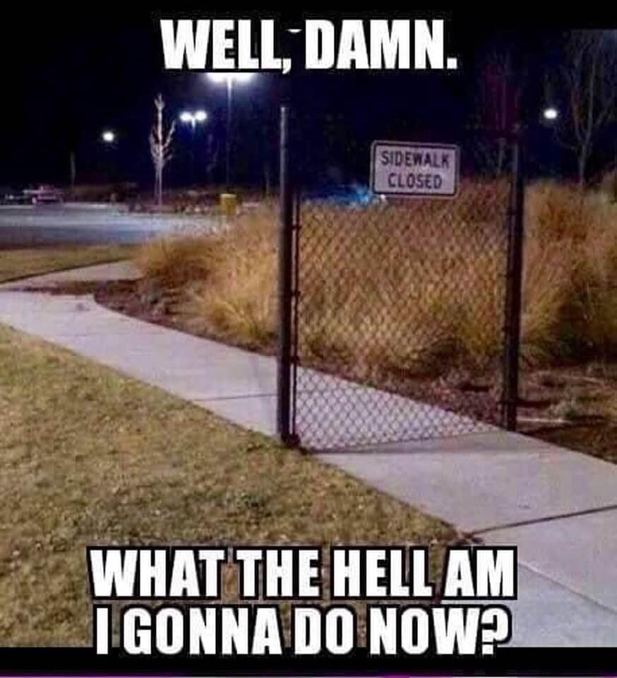 daily meme