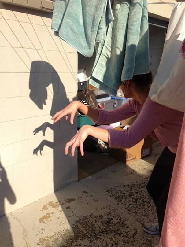 shadows