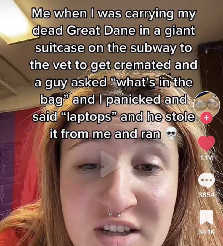 The Weirdest TikTok