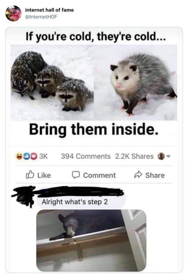 Crazy Posts