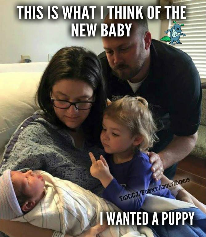 daily meme