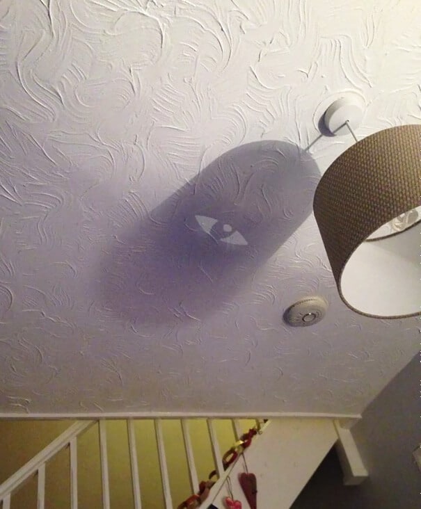 shadows