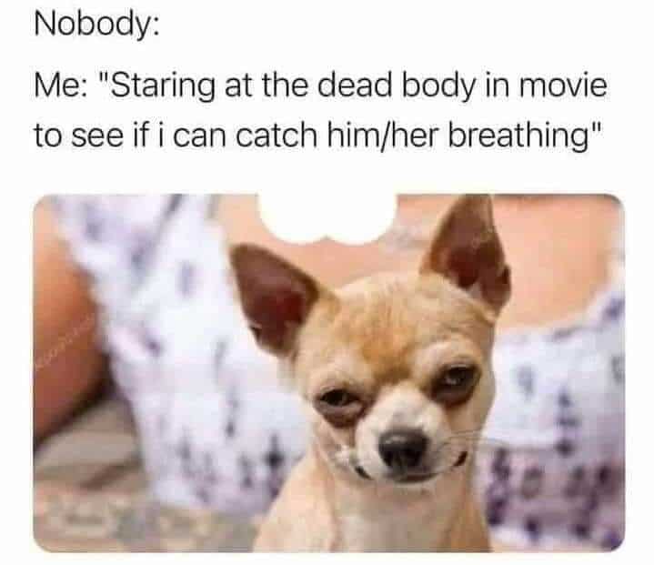 daily meme
