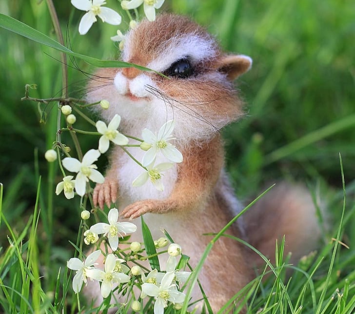 woolen animals
