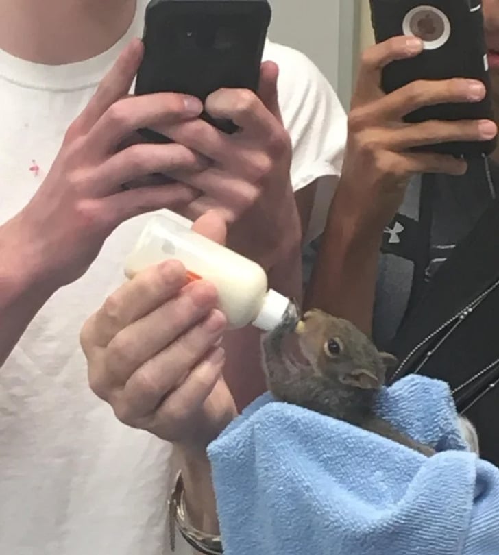 little friends