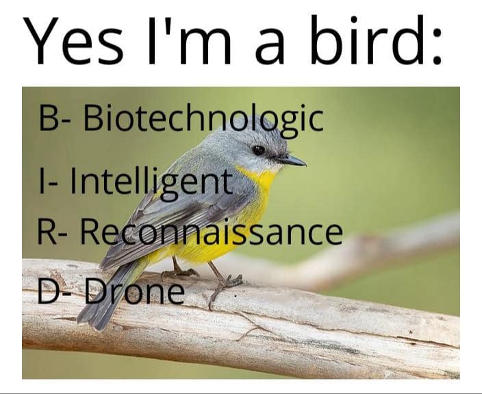 antidepressant memes