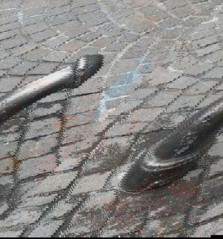 Bizarre Objects