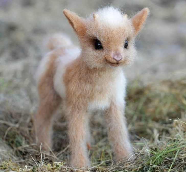 woolen animals