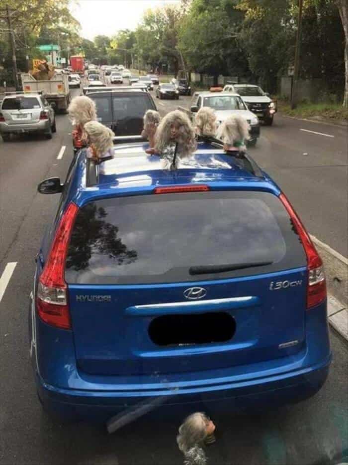 Disturbing