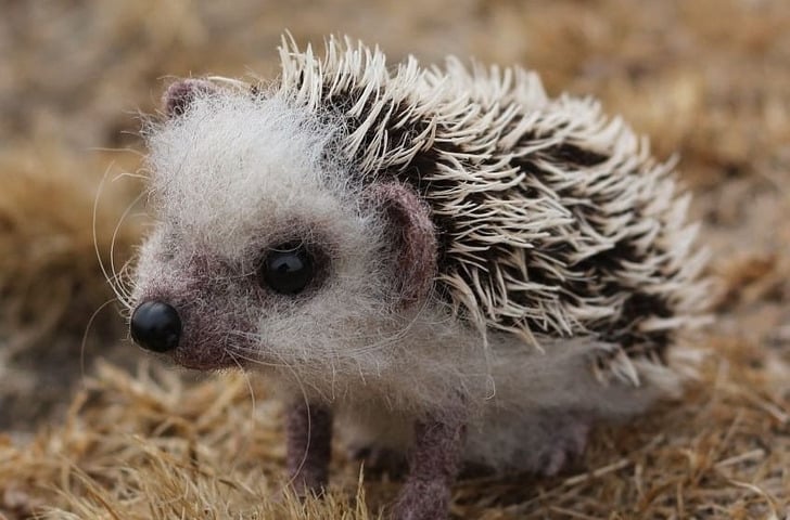 woolen animals