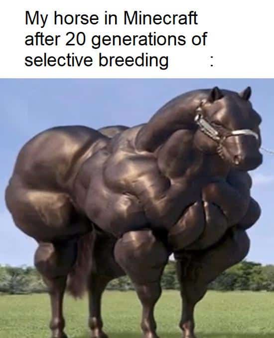 antidepressant memes
