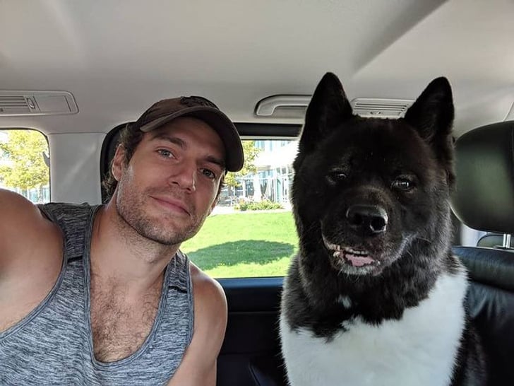 adopted pets