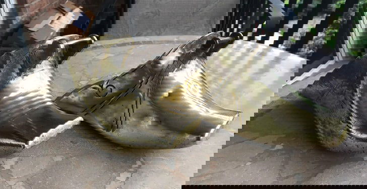 Bizarre Objects