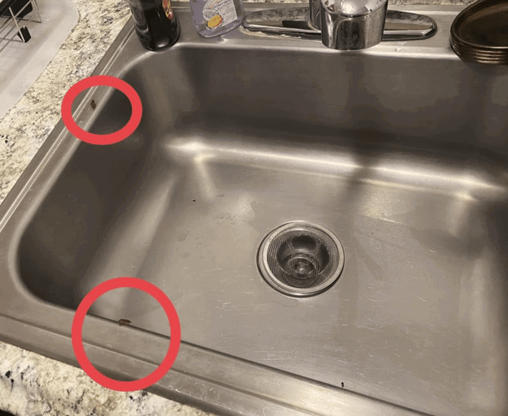 Rental Homes