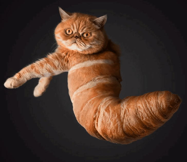 Photoshop Manipulations