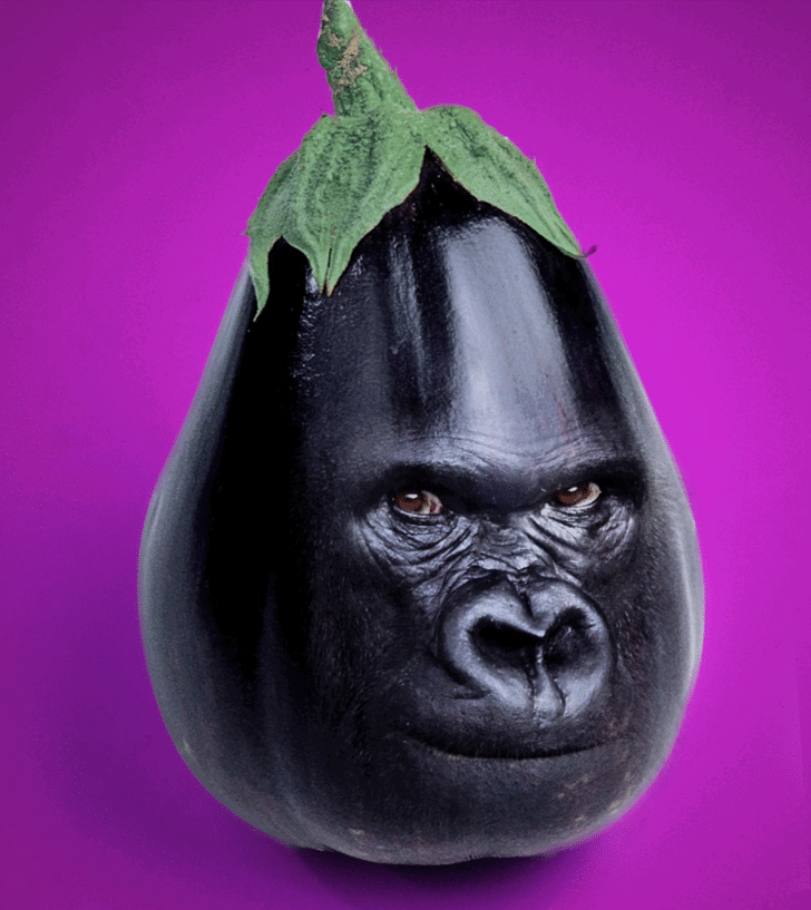Photoshop Manipulations