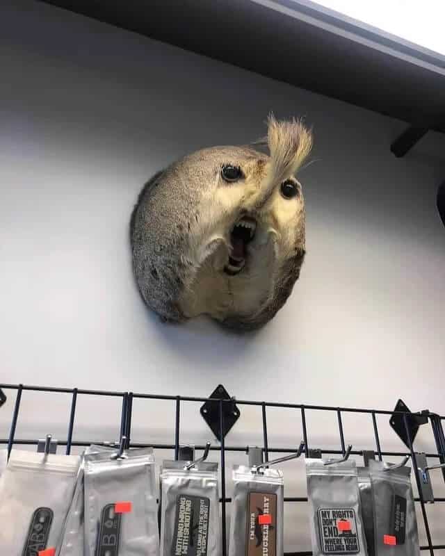 shocking