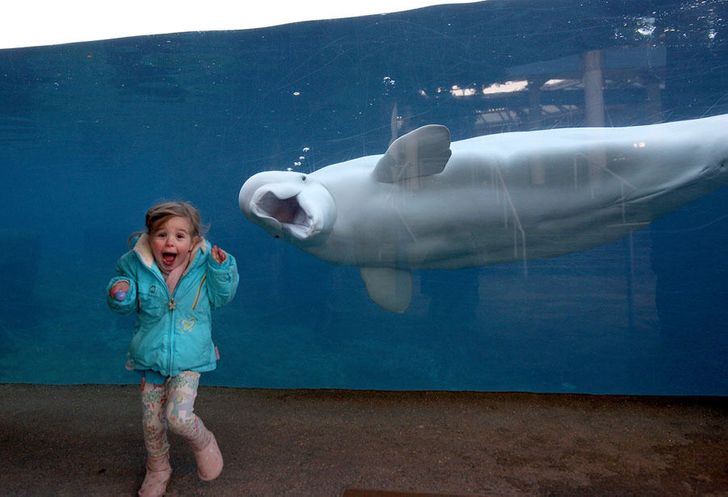 Photobombed
