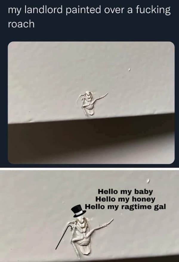 jokes
