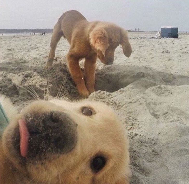 Photobombed
