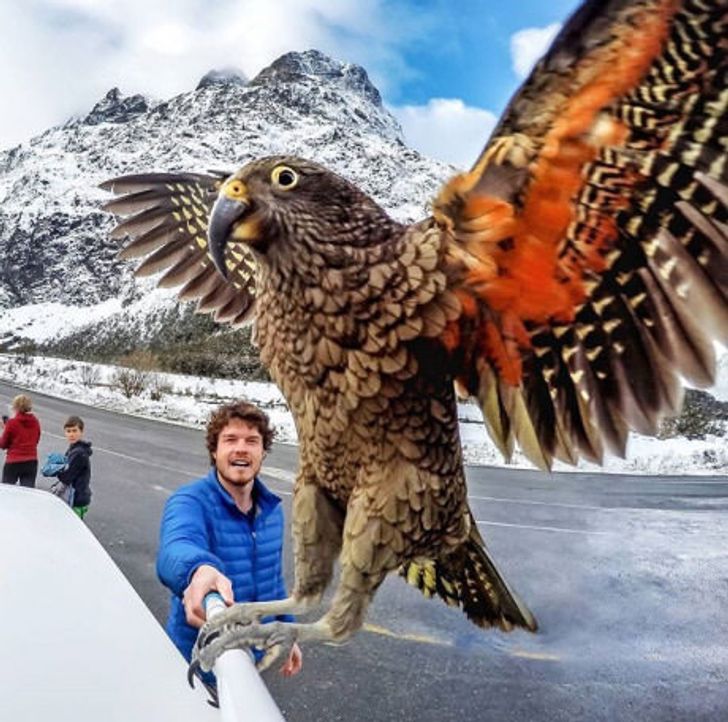 Photobombed