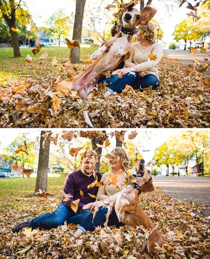 Photobombed