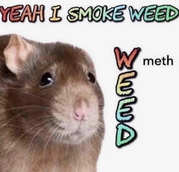 jokes