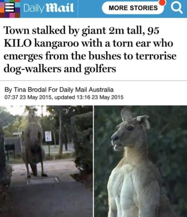 oddly terrifying