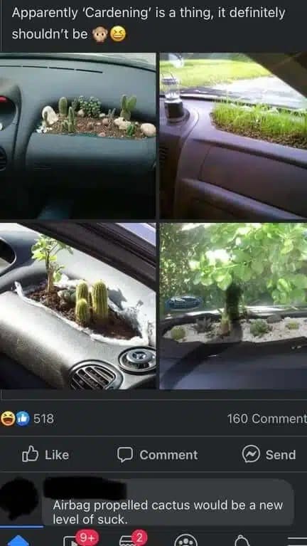 Incredible Creativity