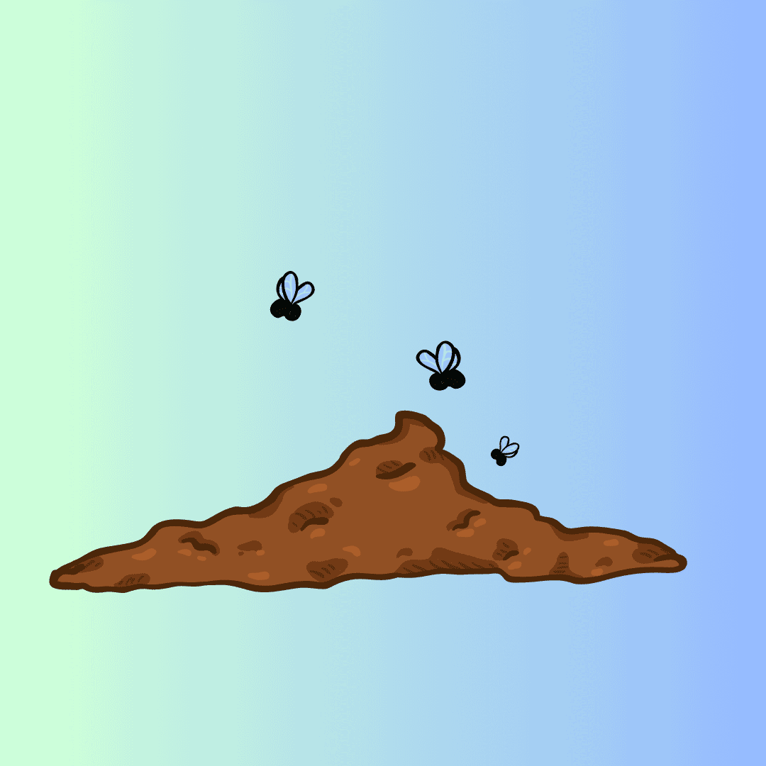 poop