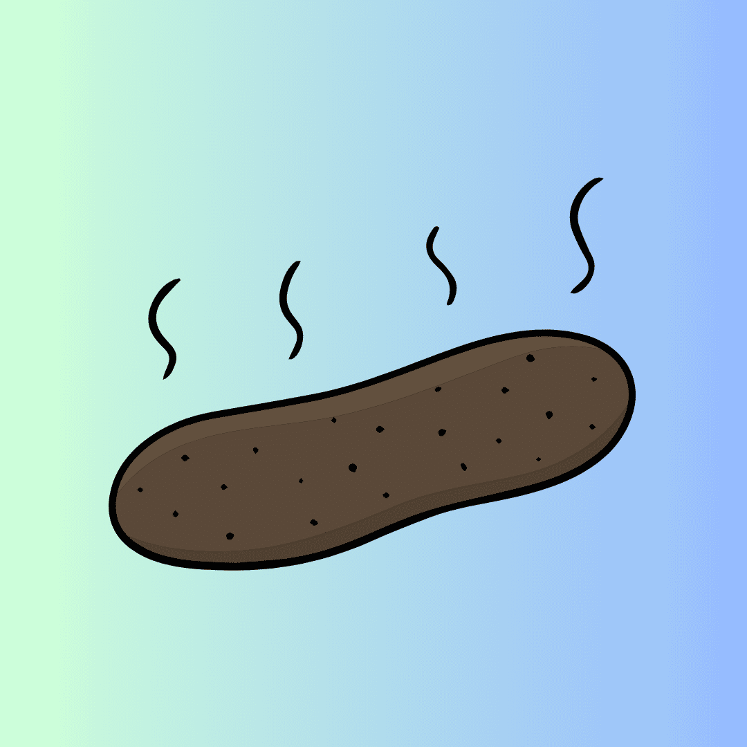 poop