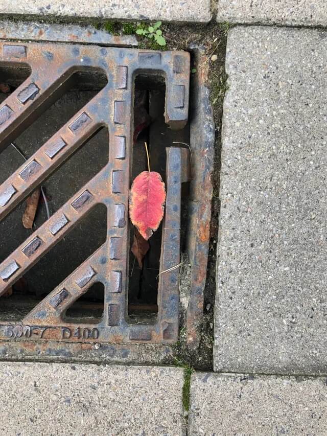 accidental perfect fits