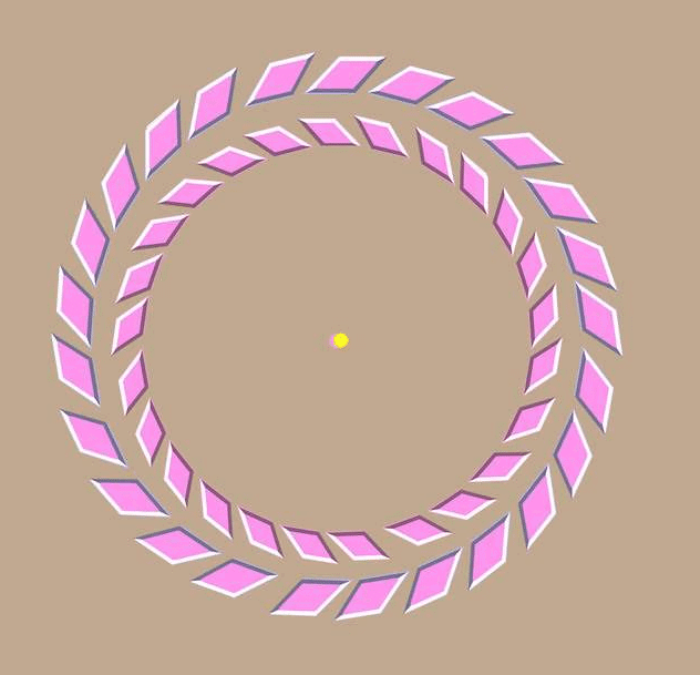 Mind-Bending Optical Illusions