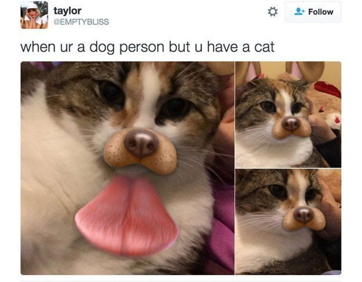 Relatable Tweets