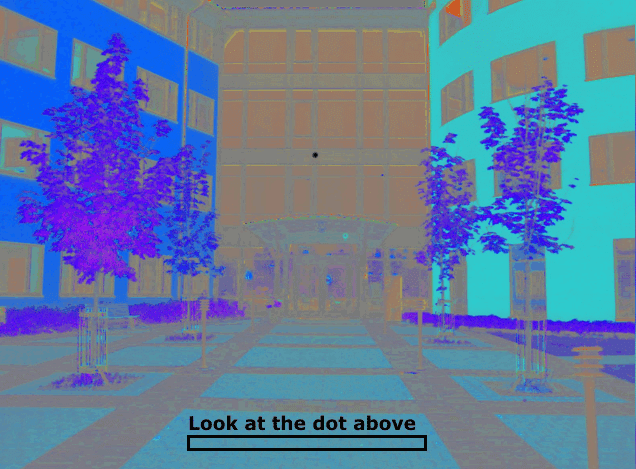 Mind-Bending Optical Illusions