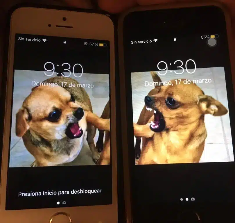 Best Friends