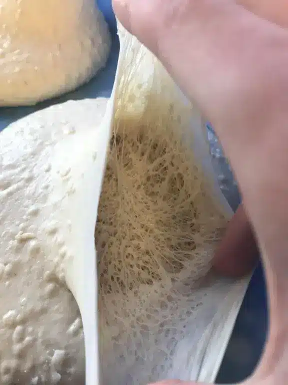 Trypophobia