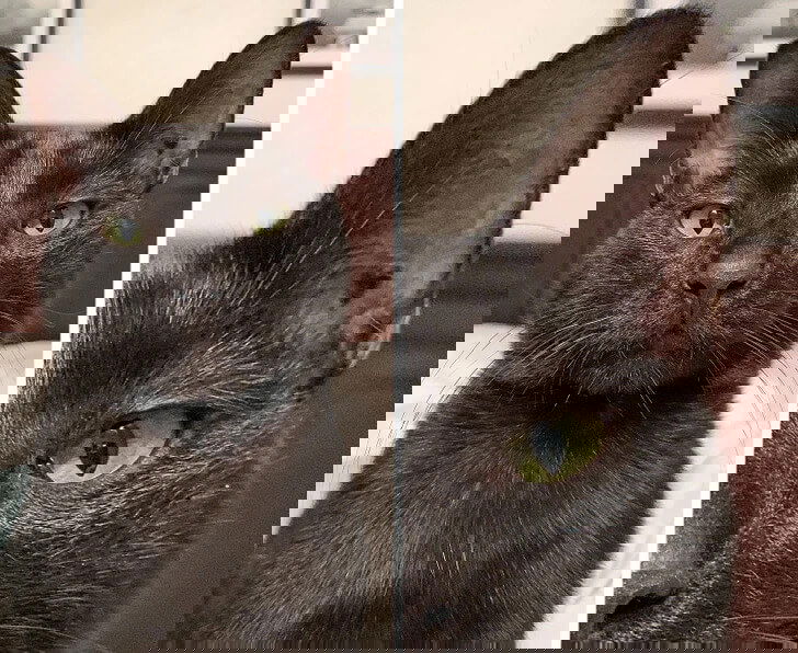 Uniqueness