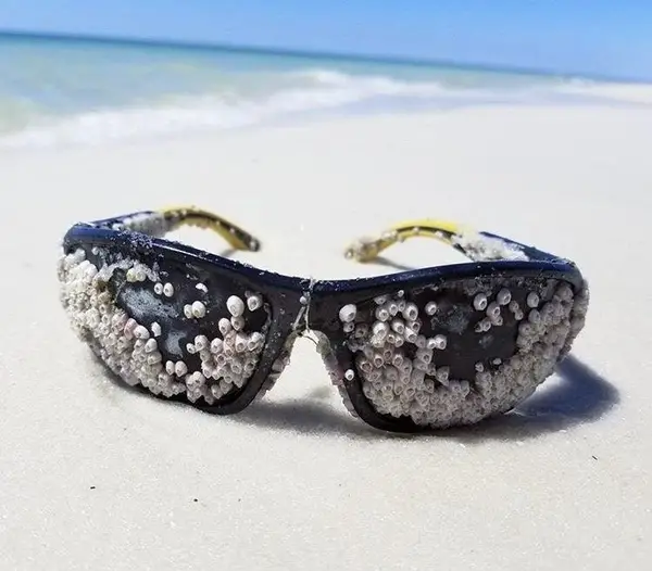 Trypophobia