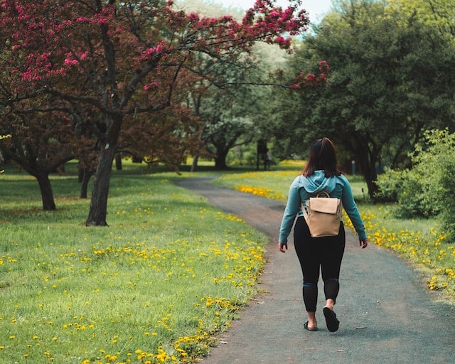 Daily Walking